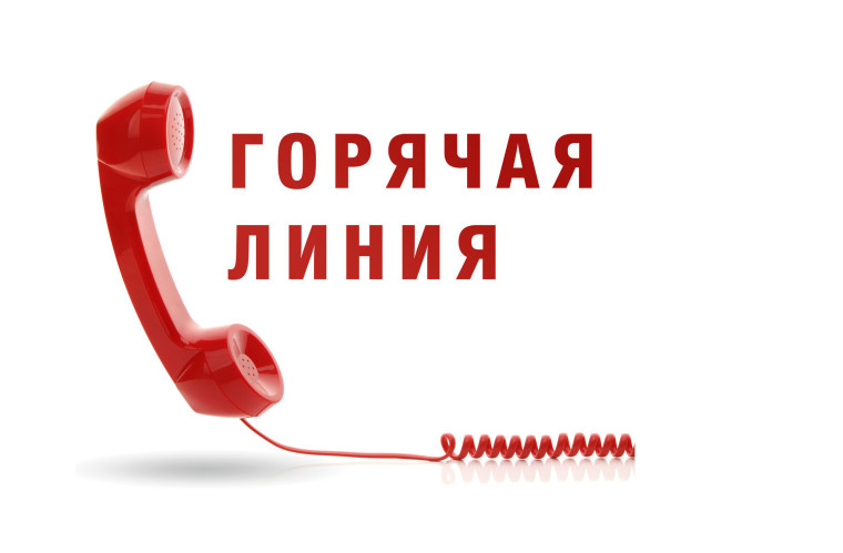Телефоны горячих линий.